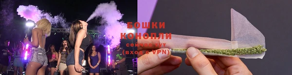 спайс Алексин